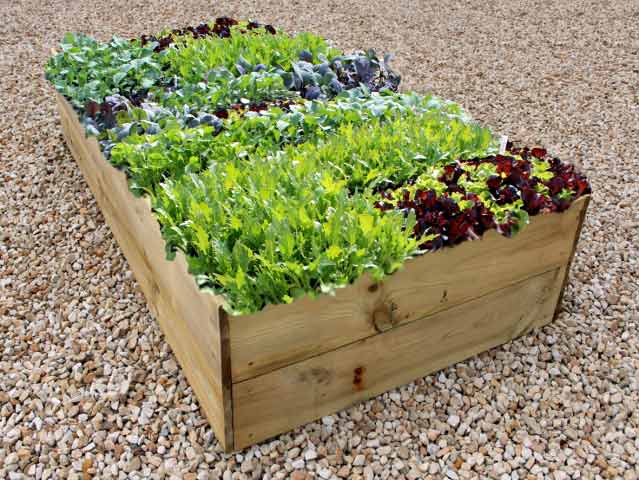 35cm Allotment Raised Bed Special Offer Questions & Answers