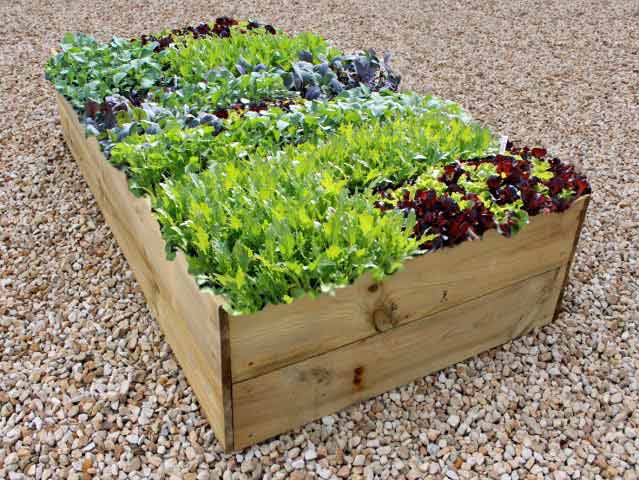 6ft x 4ft Raised Bed With Soil Beginners Kit Questions & Answers