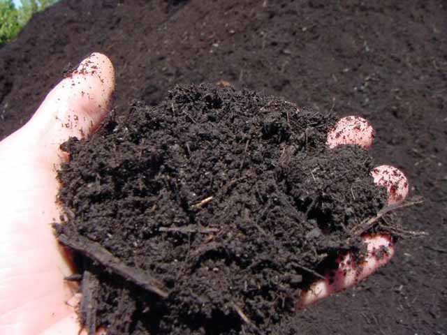 Bulk Bag Of Organic Compost - England & Wales Only Questions & Answers