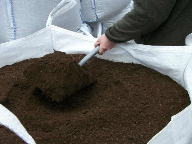 If I was to fill some raised beds would it be better to fill them with the Soil Mix or the compost mix -or half and half - I will be growing lots of different veg