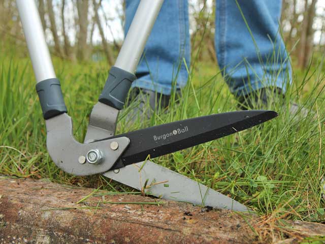 Burgon and Ball Lawn Edging Shears Questions & Answers