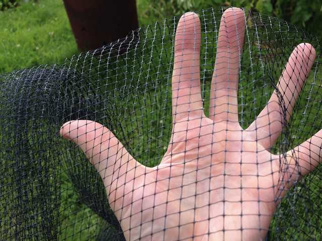 Butterfly and Bird Netting 10m x 2m - 7mm x 7mm Mesh Questions & Answers