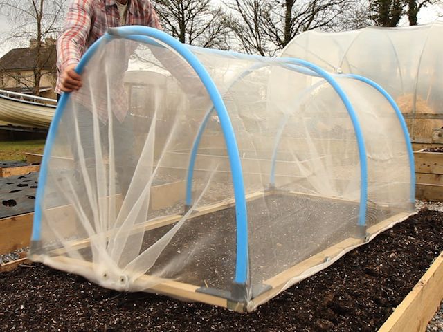 Hi there,I have your 4x4ft allotment bed and will be planting herbs, carrots, onions, garlic and lettuce.Is this poly tunnel kit the best option for successful growing or the giant easy fleece tunnel?Thanks a mill!Karen