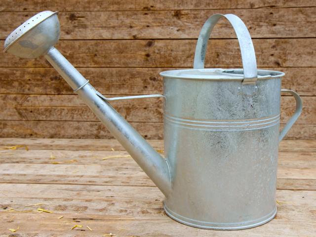 Galvanised Watering Can Questions & Answers