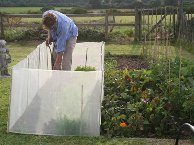 Would this work as a fence around a whole allotment? Like shown in the picture but on a bigger scale!