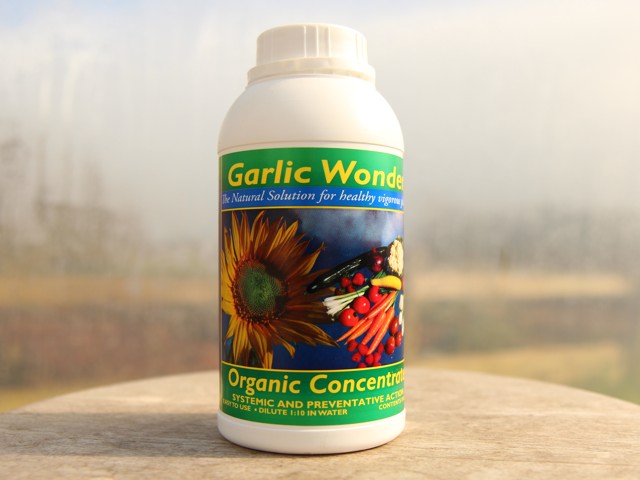 Can garlic barrier be used in sheep as a wormer?