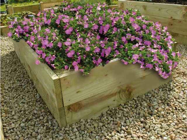 Can these be used for veg rather than flowers? Is it the safe treatment like the raised veg beds?