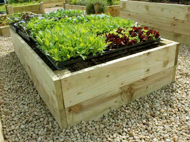 Hello, do you recommend digging a trench to put the raised bed in, or can it be placed directly on grass? Thanks