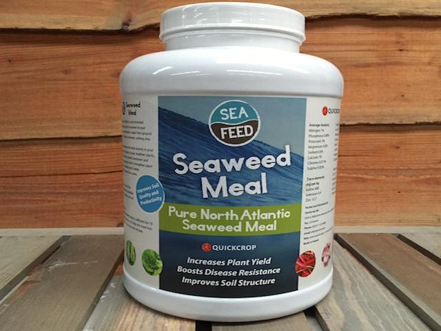 Can I use' seafeed' as a lawn feed?