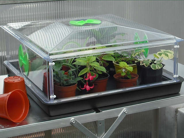 Can the pod be placed outside or does it need to be in a greenhouse?