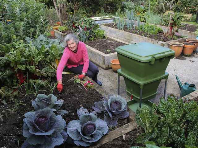 Can you please clarify what can be used in this bin? My understanding is raw and cooked veg, grass, clippings, cardboard. . No meat,fish, bones. Is chicken manure allowed?