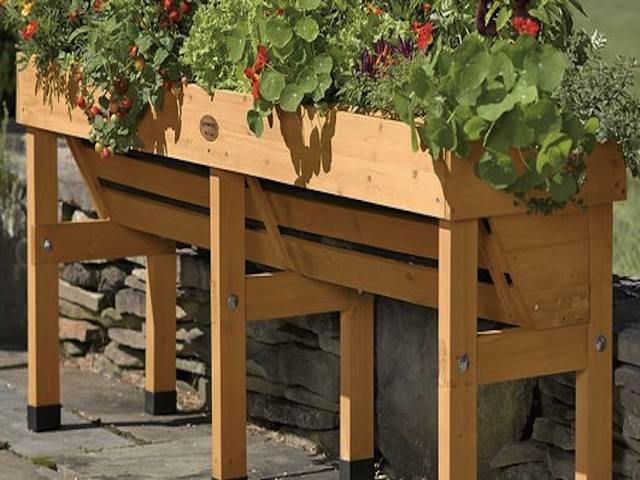 Hi Do you think the Wall hugger planter would be suitable to grow a small clematis or two in plus ornamentals . I have a wall with supporting trellis behind it and a hard surface at ground level .?Regards Val