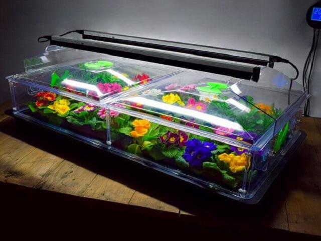 Vitopod Large Propagator with Lights & Support Brackets Questions & Answers