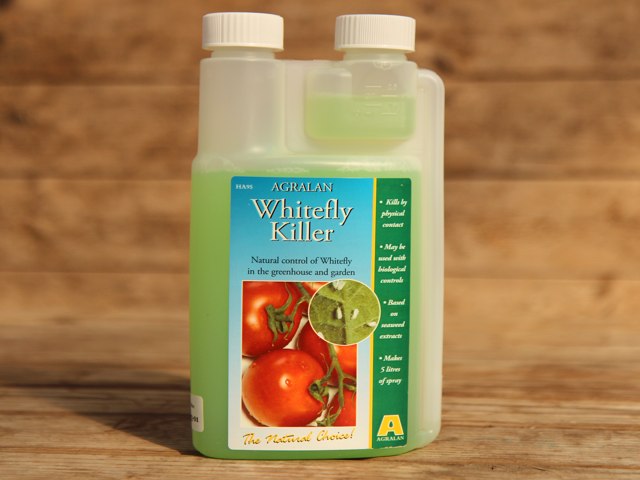 Whitefly Killer - Pesticide Free Questions & Answers