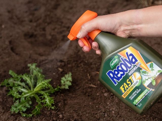 Resolva Fast Weedkiller Ready to Use - I litre Questions & Answers