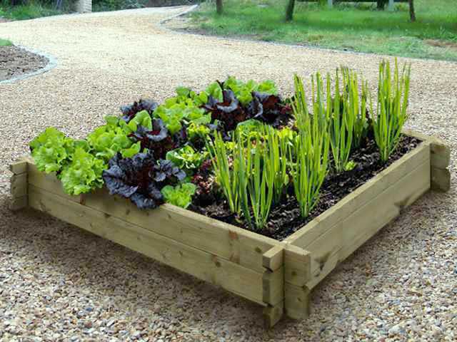 Can you put this directly on Grass?What soil you recommend? We're doing spuds, lettuce, carrots &amp; spring onions.ThanksEva