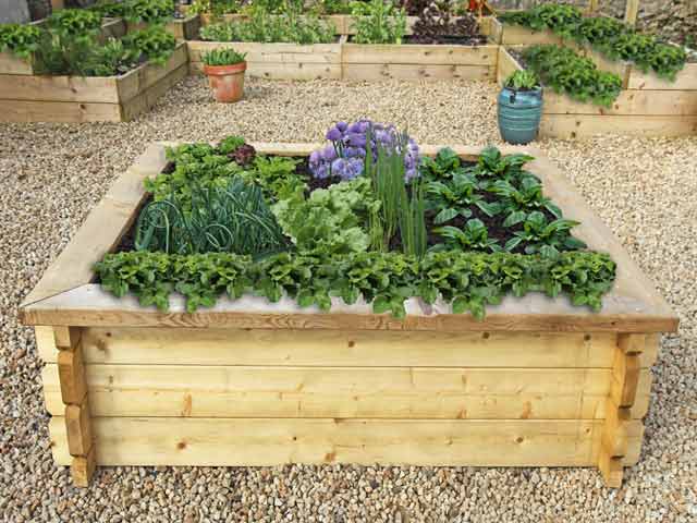 Castleton Raised Garden Bed With Finishing Top 6ft x 6ft Questions & Answers