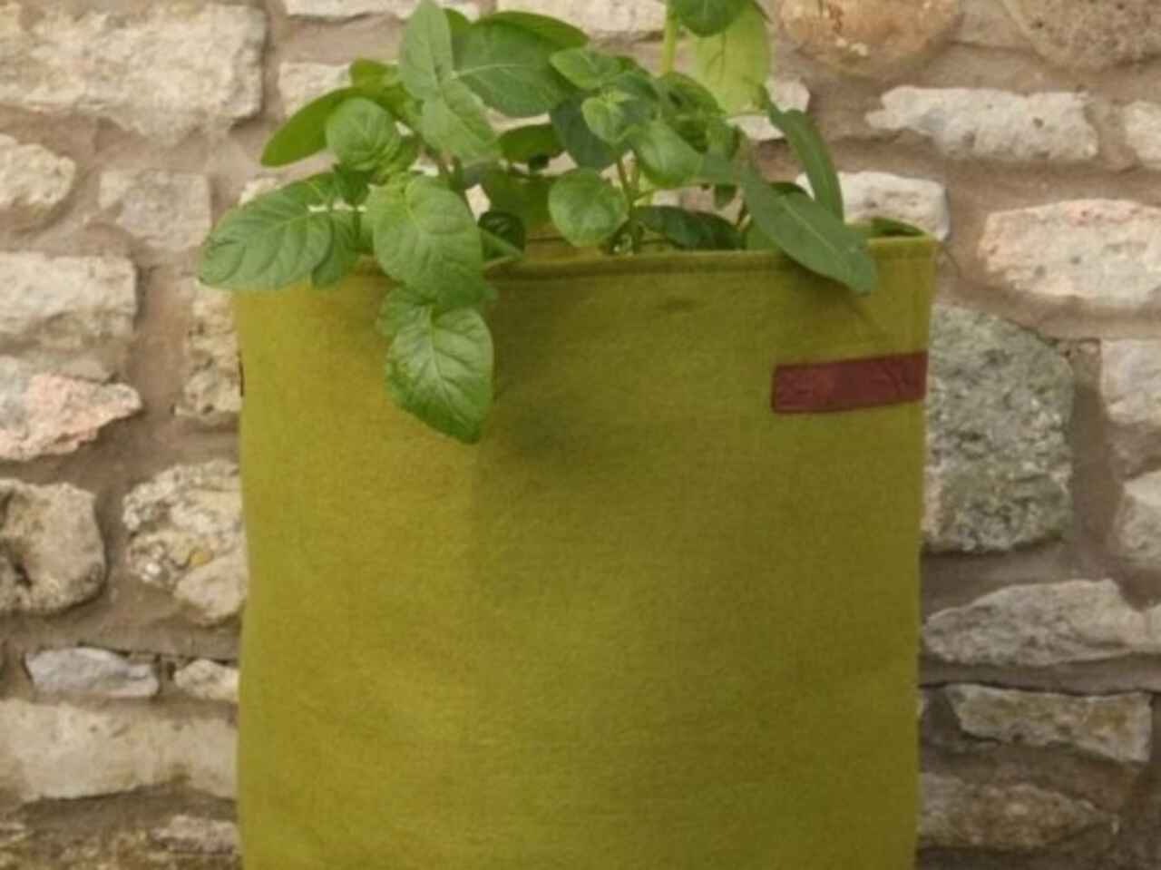 Potato /Tomato Planter Questions & Answers