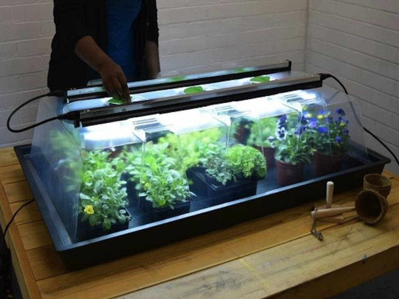 Heated Geopod Propagator Questions & Answers