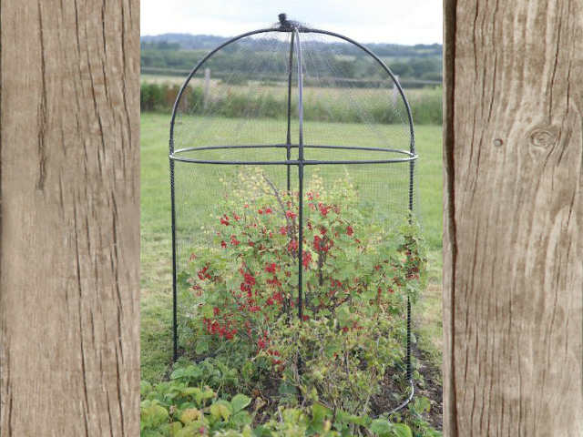 please can you supply an extension for these round fruit cages? I already have 2, which need more height now.