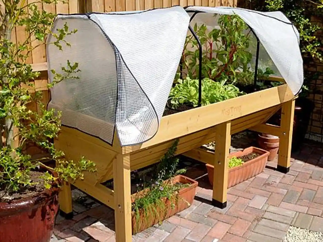 Would you be able to grow melons in this?