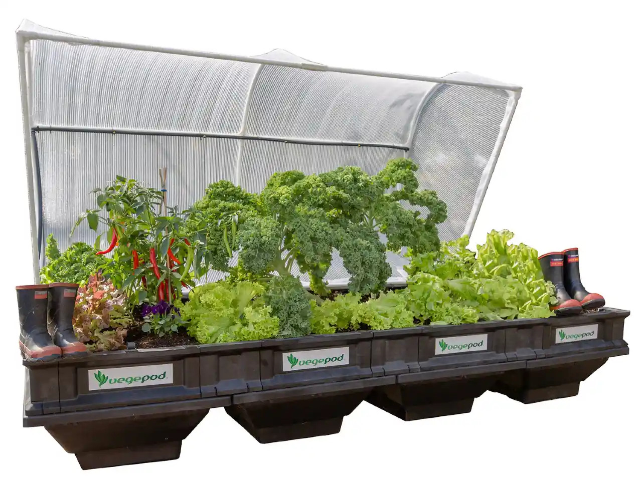 Vegepod Large Raised Bed Complete with Cover Questions & Answers