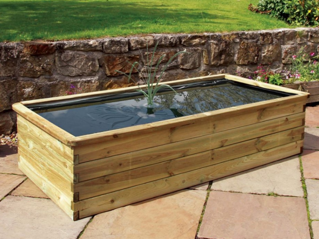 Aquatic Pond Planter Large Questions & Answers