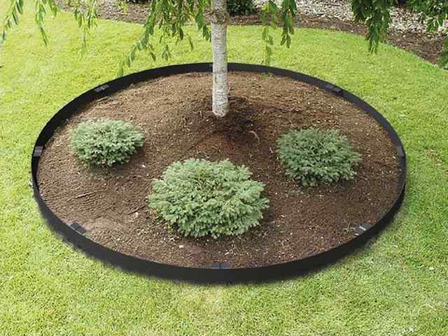 Straight Steel Landscape Garden Edging Questions & Answers