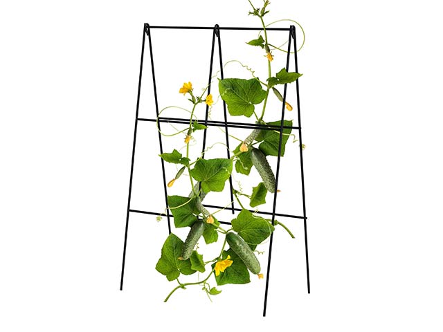 Folding A-Frame Cucumber Trellis Questions & Answers