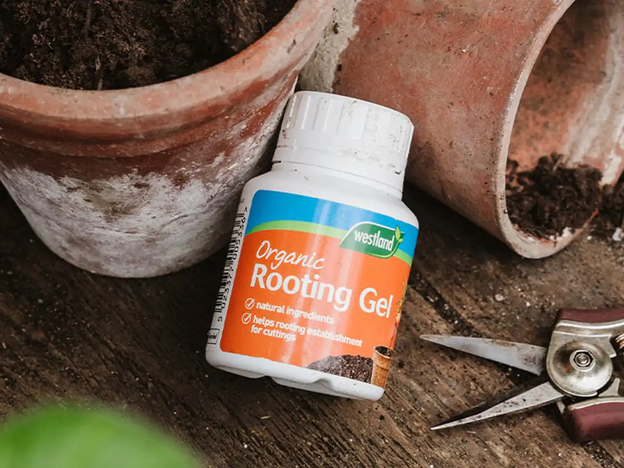Organic Rooting Gel 150ml Questions & Answers