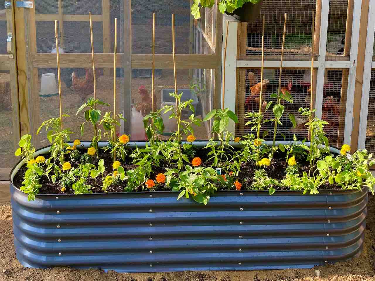 Vegtub Metal Raised Bed Questions & Answers